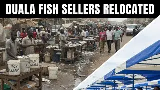 SHOCKING MCP Relocates Duala Fish Sellers to Market: Streets Cleared for Better Sanitation