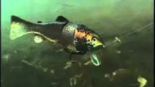Lunker Bay Tackle Castaic Swimbaits _ Hard Head Series _ Hard Head Quick Snap#E5E2.flv