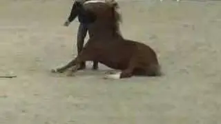 Cowboy and Horse Act Amsterdam 2007 Honza Blaha Gaston