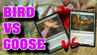 Top 15 Greatest Mana Dorks Ever Made - BATTLE OF THE BIRDS - MTG - Best Magic: the Gathering Cards