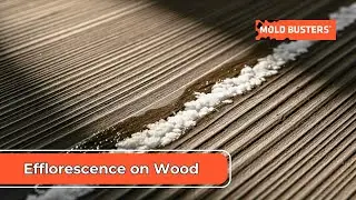 Efflorescence on Wood  by Mold Busters