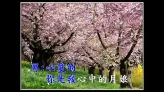 男人情女人淚(謝莉婷&郭建一)