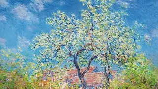 a playlist for the softness of a quiet morning alone