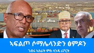 ገብሩ ኣስራት ብዛዕባ ኣፍልጦ ሶማሌላንድ: Landa report 