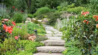 Garden design ideas,  garden planning in winter for maximum summer impact 😎