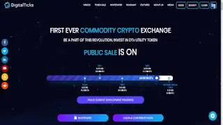 Digital Ticks обзор баунти программы.