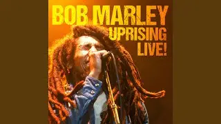 Natural Mystic (Live)