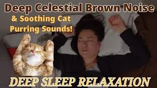Deep Celestial Brown Noise with Soothing Cat Purring Sounds [Black Screen] DEEP SLEEP RELAXATION