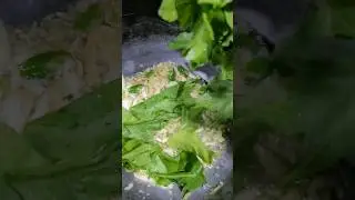 Healthy green leaf 🥬  #healthy #testy #protein #