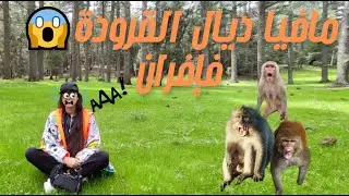 بغينا نشوفو الطبيعة...حتى تلاقينا مع مافيا ديال القرودة!😫ifran 2025