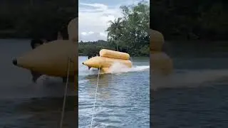 Banana ride #reelsvideo #covaitamizhanz #trichyupdates