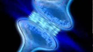 Le cerveau humain est une petite merveille de complexit&eacute;