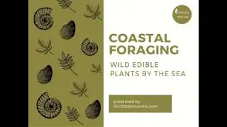 Coastal foraging with Orchards Near Me