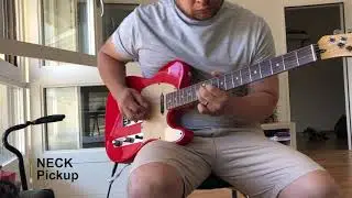 Telecaster Fenix with Joe Barden Telecaster Pickups/Danny Gatton