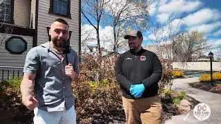 Spring Pest Control Solutions for NJ Homes & Businesses