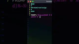Customizing Your Prompt
