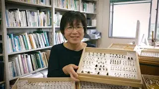 Mystery behind flower diversity - Plants' pollination strategies and animals' quest for nectar -