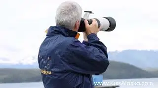 Untamed Alaska