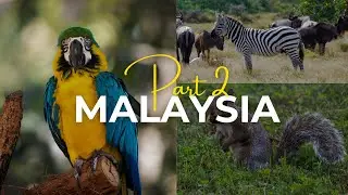 Walking Tour of LOK KAWI WILDLIFE PARK, MALAYSIA | Part 2