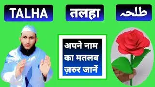 Talha Name Ki Meaning In Urdu | Talha Name Ka Matlab Kya Hota Hai