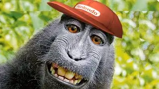 Monkey Monday - The Viewer Battle Stream SSBU