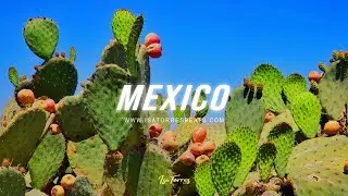 Bad Bunny x YG Latino Type Beat 2020 - 