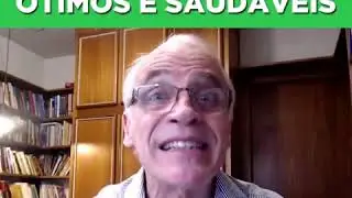 OS TIPOS DE CARBOIDRATOS &Oacute;TIMOS E SAUD&Aacute;VEIS