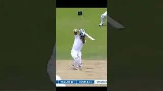 SANGAKKARA🦁 #bounceback #cricket #cricketedits #cricketfever #cricketgram #crickethighlights #cover