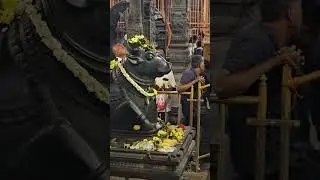 aurnachala trmple gopuram and temple inside nandhi