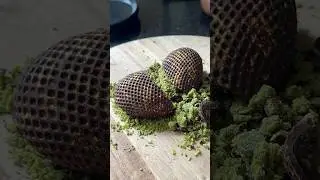 Not Dubai Chocolate Part 2  #chocolatebars   #dubaichocolate  #asmrsounds #chocolateasmr  #asmr