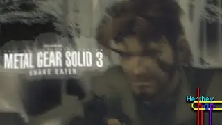 Metal Gear Solid 3 Corruptions