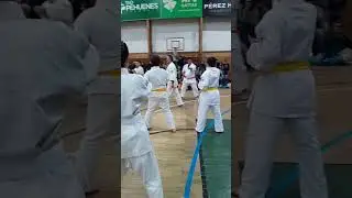 this is kobayashi shorin ryu !