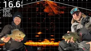 Как выглядят мелкие рыбы на LiveScope? (Датчик LVS 34)