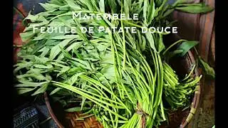 Matembele (feuille de patates douces)