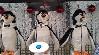 Merry Christmas from Blackbrooks  Garden Center