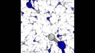 Within liquid water - molecular world