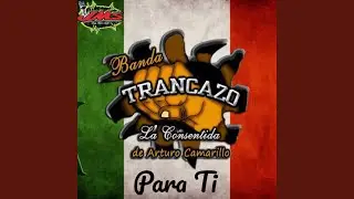 Quizas Si Quizas No