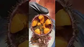 Sea urchin ang sarap nito pwede rin pang ulam.#fypyoutube #seafoodrecipes #followforfollow