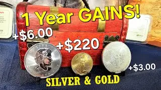 HOW MUCH PROFIT From Silver and GOLD COINS 1 YEAR Later? #silver #money #gold