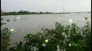 عـــــ الكنيف ـــبد الله عــبد المولي...غني وشكري