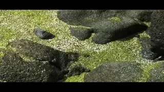 EarthMatters-2008_part2.mp4