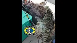 Charter and Guided Fishing in Coos Bay Oregon