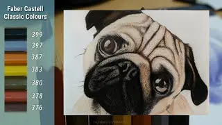 HOW I DRAW A DOG USING FABER CASTELL CLASSIC COLOUR (Beginner's art) | not a Pro artist | DBA Arts