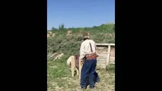 Jessica Kirkham SASS Cowboy Action Shooting (16.64)