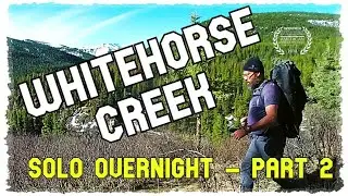 SOLO backpacking along the historic Coal Branch - Trappers Campground (Part 2)