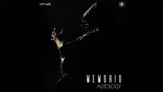 Memorio - Optimal
