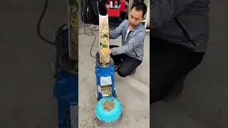Peanut shell Maize Grass Animal Feed Pellet Machine #homemadefeed #animalfeeds #feedpelletizer