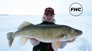 Ice Fishing GIANT Saskatchewan Walleyes (10+lbs)