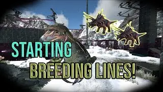 Starting Breeding Lines! | Unofficial Gentlemans Ark | ARK: Survival Evolved Ep 2