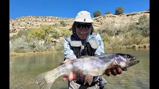 New Fly Fishing Technique When Catching Too Many Oct 2025 San Juan River Tailwater
